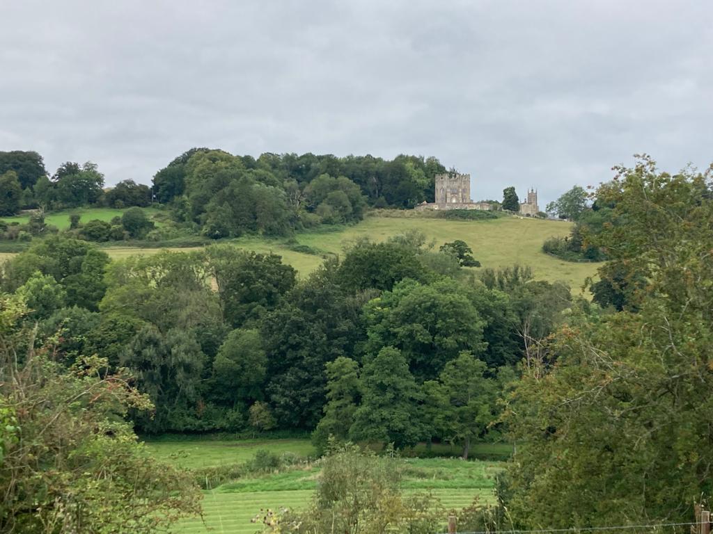 Light and shade along the Midford Brook Bathscape Landscape Partnership